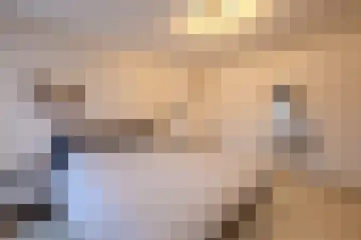 Pochelarij 22 Oirschot thumbnail 19