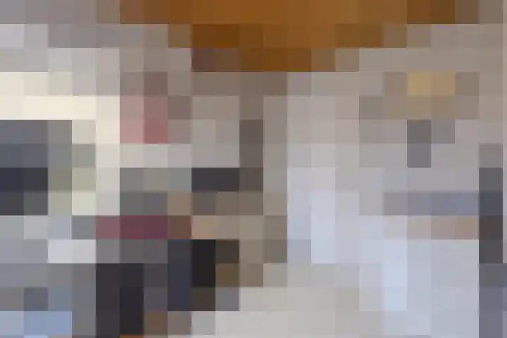 Pochelarij 22 Oirschot thumbnail 25