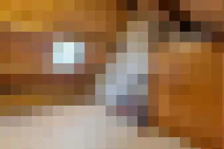 Pochelarij 22 Oirschot thumbnail 28