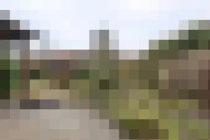 Pochelarij 22 Oirschot thumbnail 31