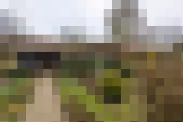 Pochelarij 22 Oirschot thumbnail 32