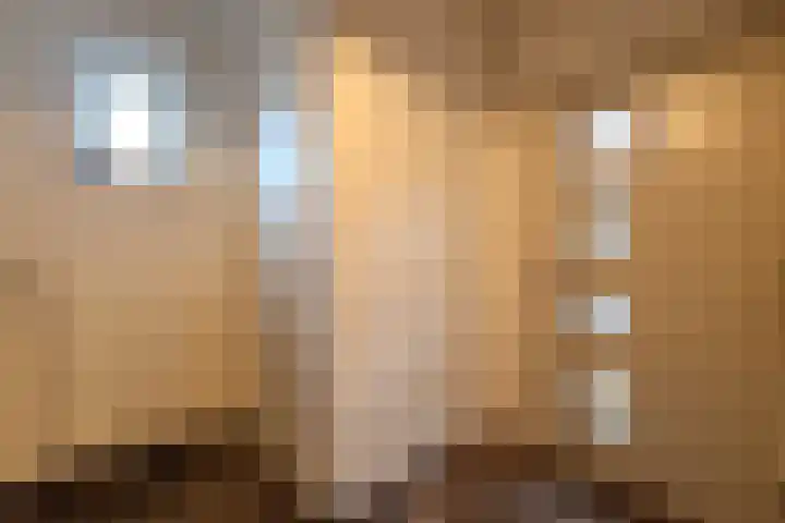 Pochelarij 22 Oirschot thumbnail 7