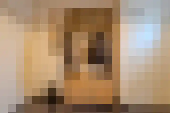 Pochelarij 22 Oirschot thumbnail 8