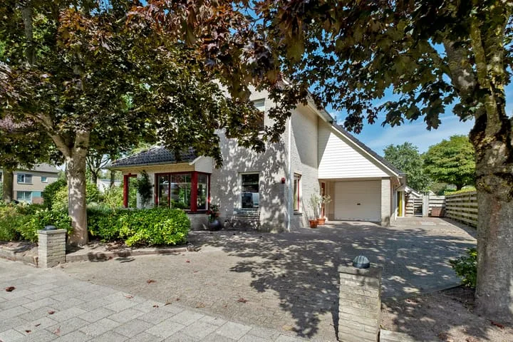 Podzolhamel 1 Assen