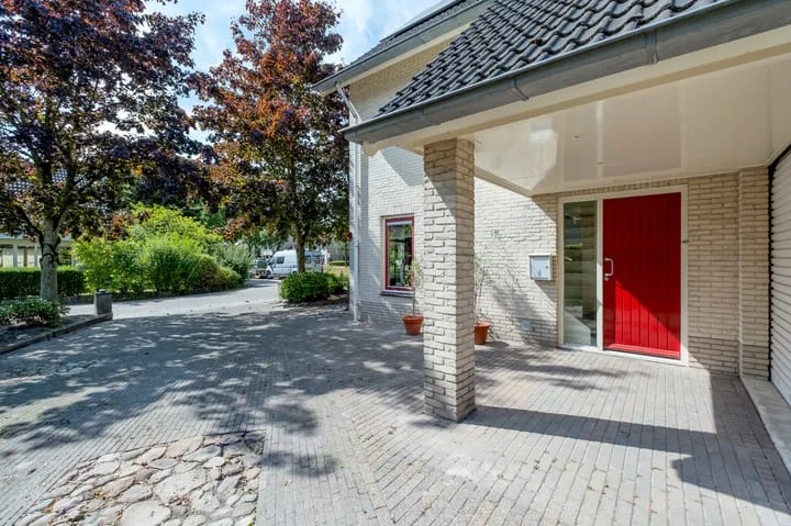 Podzolhamel 1 Assen foto 2