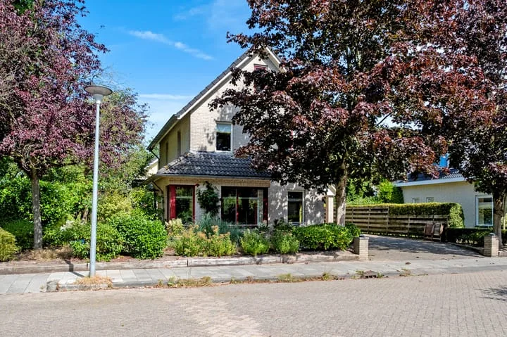 Podzolhamel 1 Assen thumbnail 42