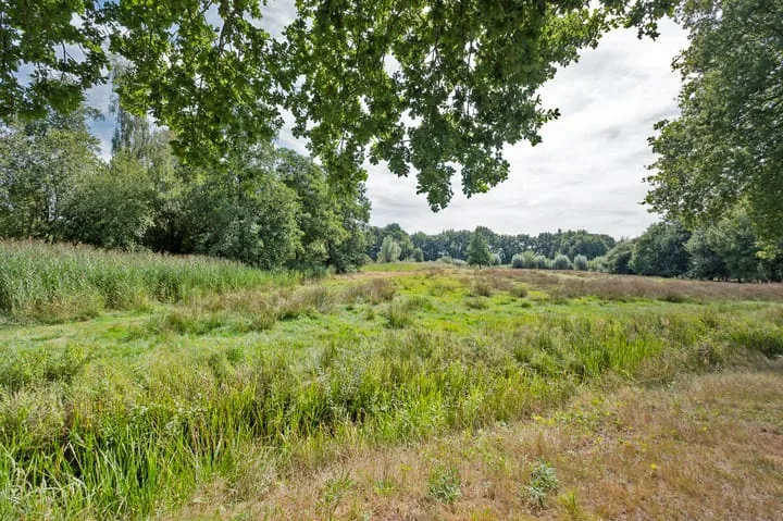 Podzolhamel 1 Assen thumbnail 47