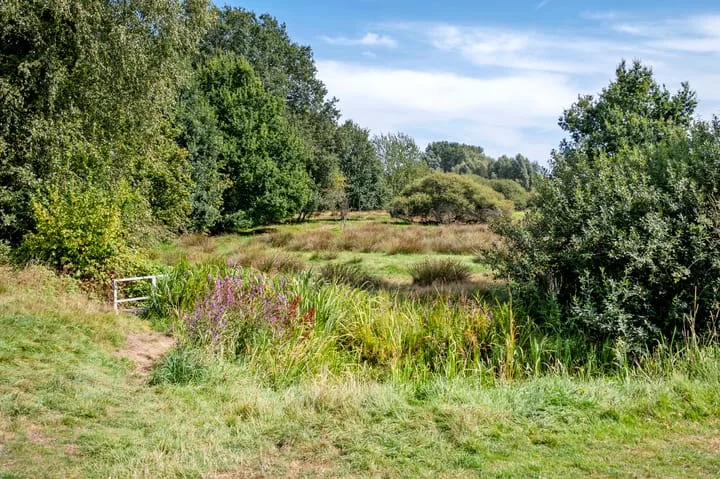 Podzolhamel 1 Assen thumbnail 48