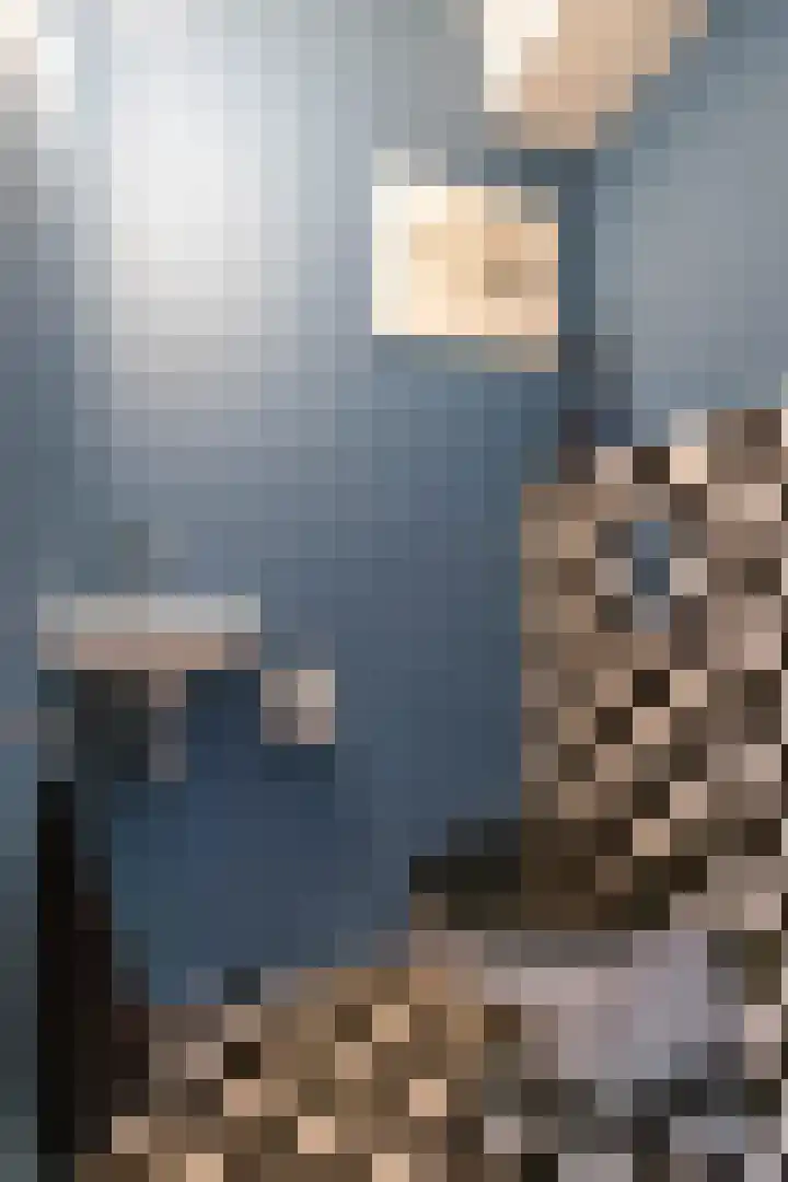 Podzolhamel 22 Assen thumbnail 11