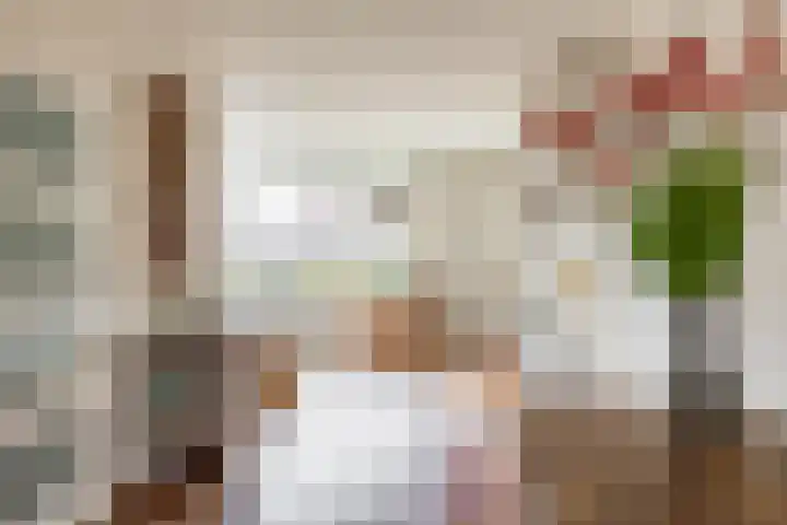 Podzolhamel 22 Assen thumbnail 12