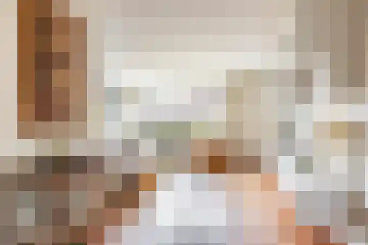 Podzolhamel 22 Assen thumbnail 13
