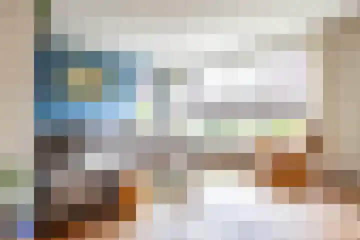 Podzolhamel 22 Assen thumbnail 14