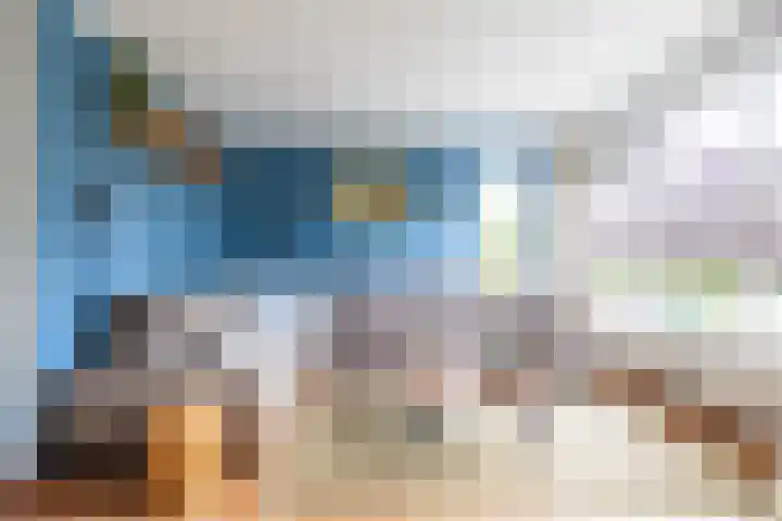 Podzolhamel 22 Assen thumbnail 15