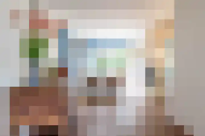 Podzolhamel 22 Assen thumbnail 18