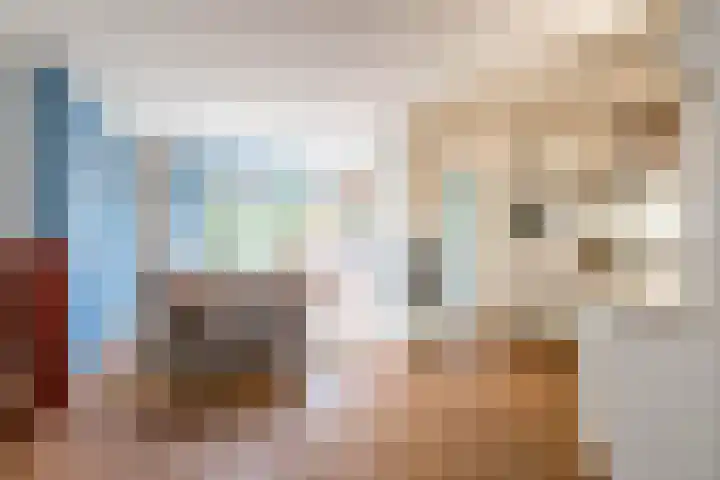 Podzolhamel 22 Assen thumbnail 19