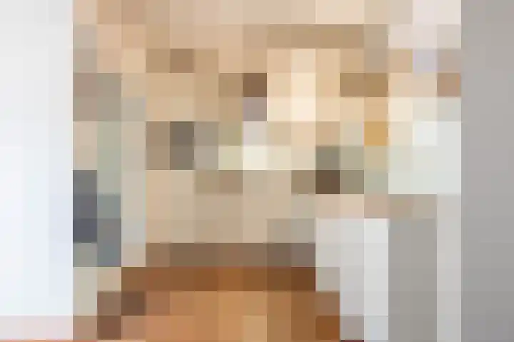 Podzolhamel 22 Assen thumbnail 20