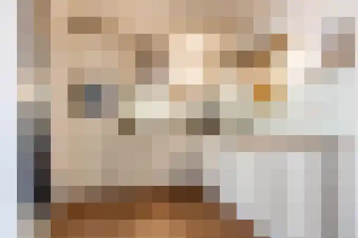 Podzolhamel 22 Assen thumbnail 21