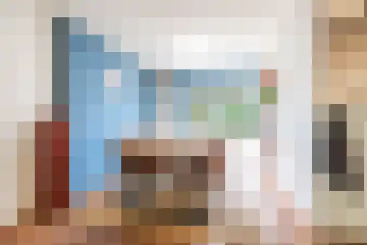 Podzolhamel 22 Assen thumbnail 24