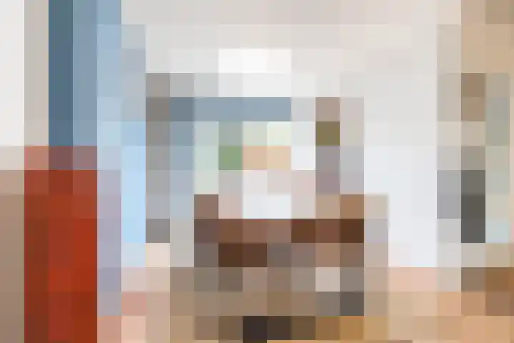 Podzolhamel 22 Assen thumbnail 25