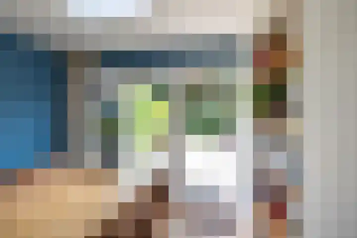 Podzolhamel 22 Assen thumbnail 26