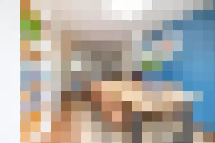 Podzolhamel 22 Assen thumbnail 27