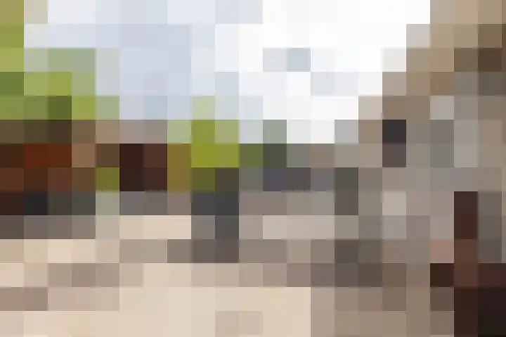 Podzolhamel 22 Assen thumbnail 29