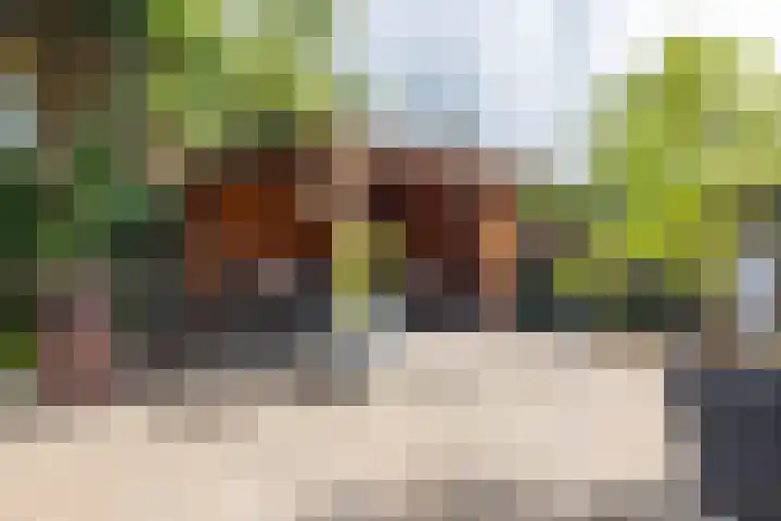 Podzolhamel 22 Assen thumbnail 30