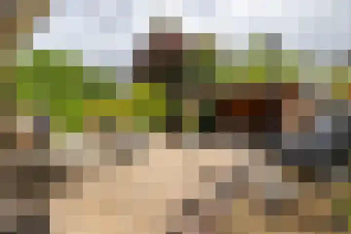 Podzolhamel 22 Assen thumbnail 32