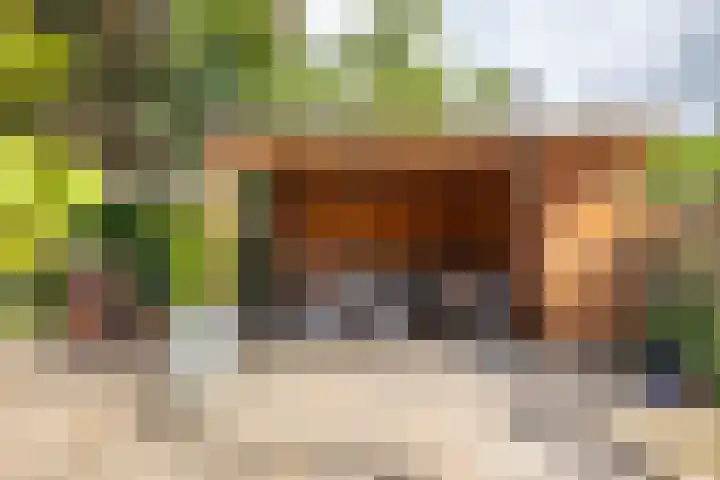 Podzolhamel 22 Assen thumbnail 33