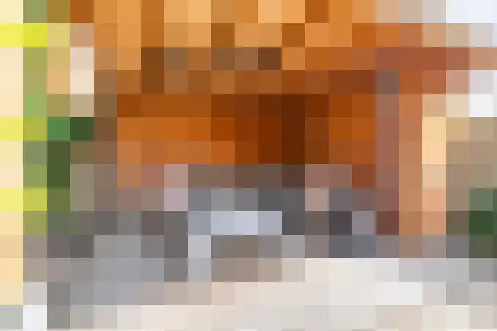 Podzolhamel 22 Assen thumbnail 34