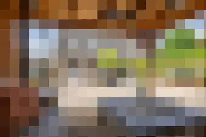 Podzolhamel 22 Assen thumbnail 35