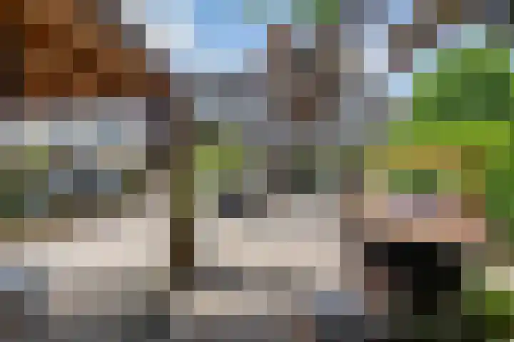 Podzolhamel 22 Assen thumbnail 36