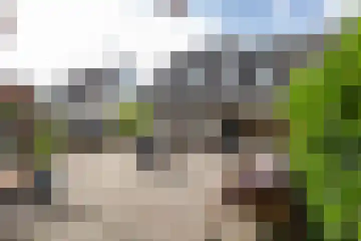 Podzolhamel 22 Assen thumbnail 37