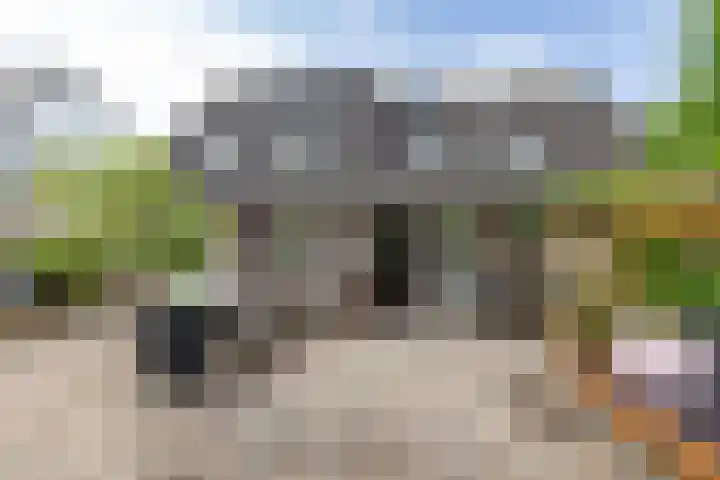 Podzolhamel 22 Assen thumbnail 38