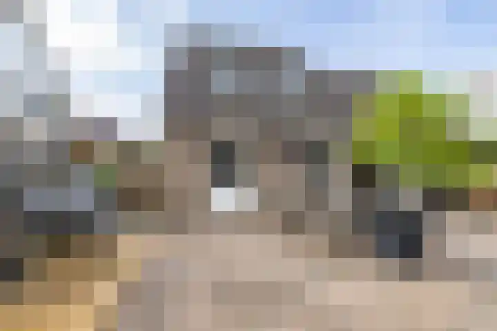 Podzolhamel 22 Assen thumbnail 39