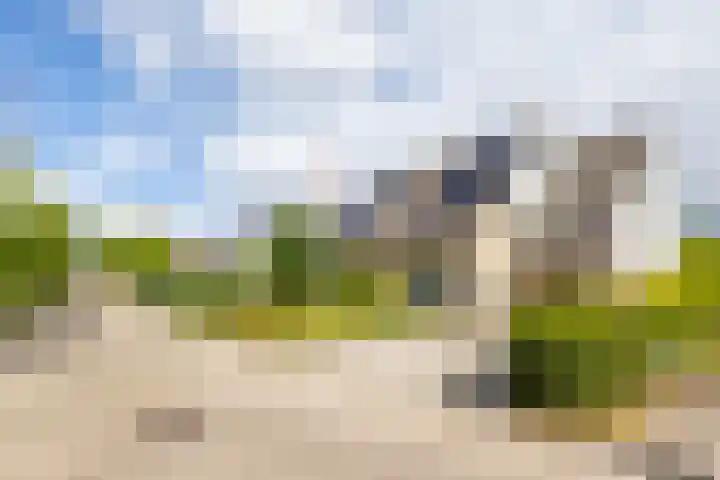 Podzolhamel 22 Assen thumbnail 4