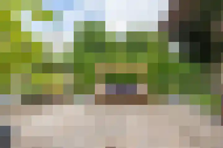 Podzolhamel 22 Assen thumbnail 40