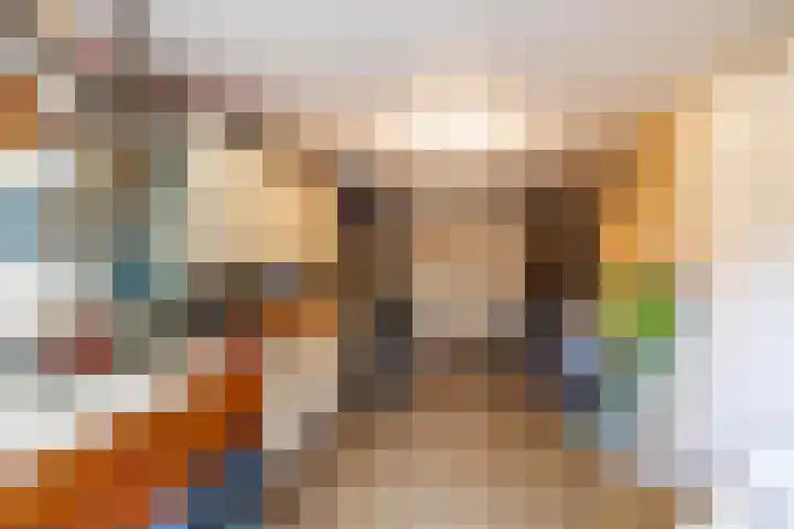Podzolhamel 22 Assen thumbnail 42