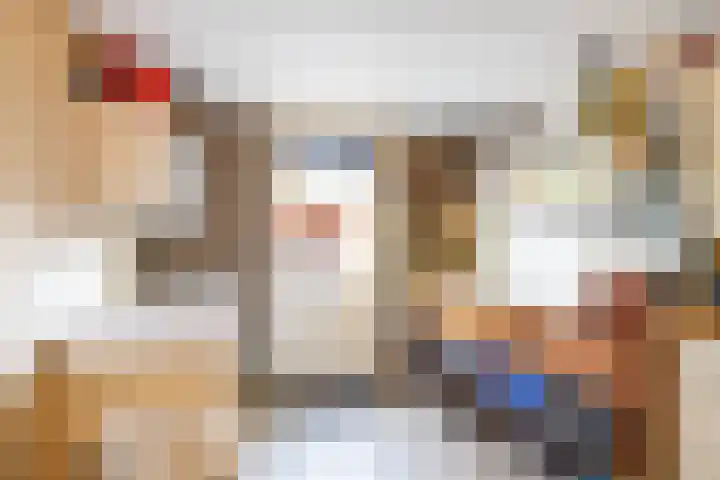 Podzolhamel 22 Assen thumbnail 44