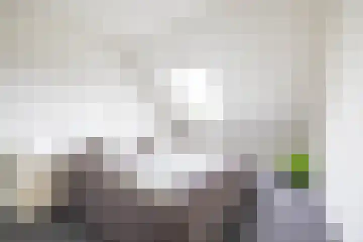 Podzolhamel 22 Assen thumbnail 46