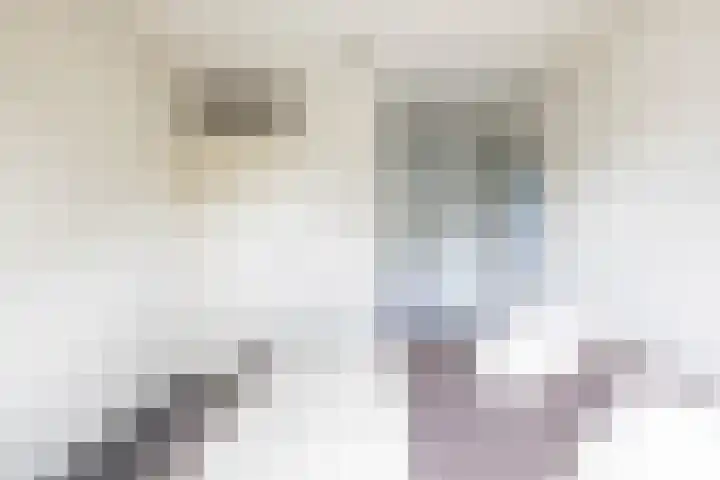 Podzolhamel 22 Assen thumbnail 47