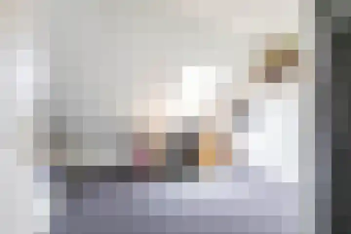 Podzolhamel 22 Assen thumbnail 49