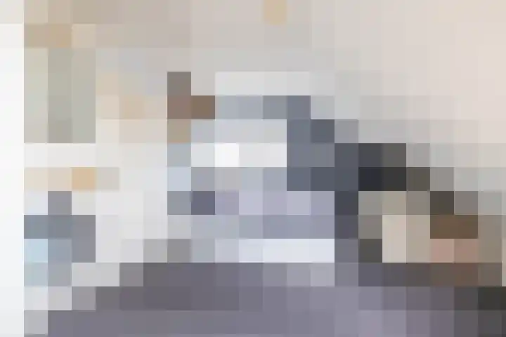 Podzolhamel 22 Assen thumbnail 50