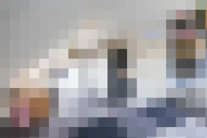 Podzolhamel 22 Assen thumbnail 51