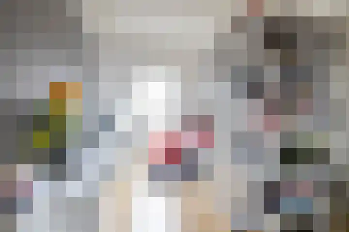 Podzolhamel 22 Assen thumbnail 54