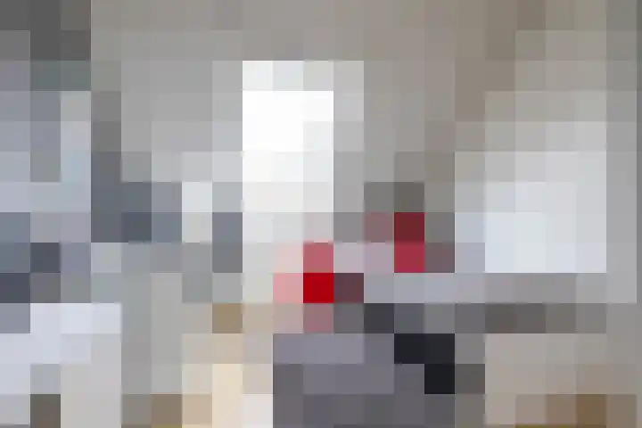 Podzolhamel 22 Assen thumbnail 55