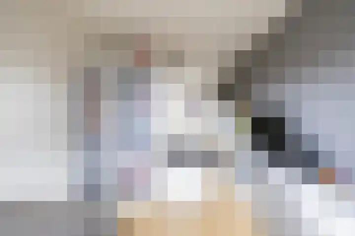 Podzolhamel 22 Assen thumbnail 56