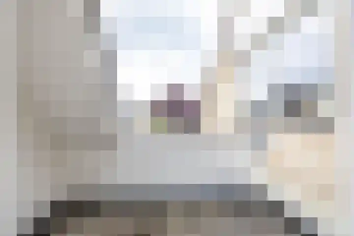 Podzolhamel 22 Assen thumbnail 59