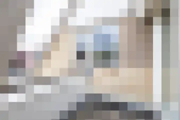 Podzolhamel 22 Assen thumbnail 60