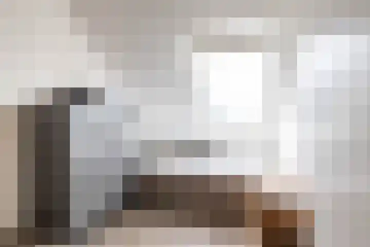 Podzolhamel 22 Assen thumbnail 64